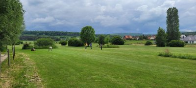 Swingolf